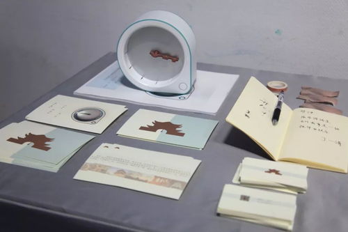 创意绽放，设计未来——北京工业大学艺术设计学院2019届本科生优秀毕业设计作品展 化妆品篇