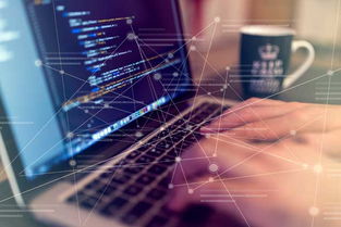 自助建站五步走，轻松掌握技术开发核心