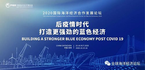 聚力网络技术开发，共绘海洋经济蓝图——2020海博会数字创新成果巡礼