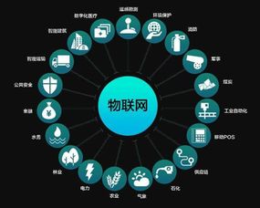 物联网培训机构排名与网络技术开发的前沿展望